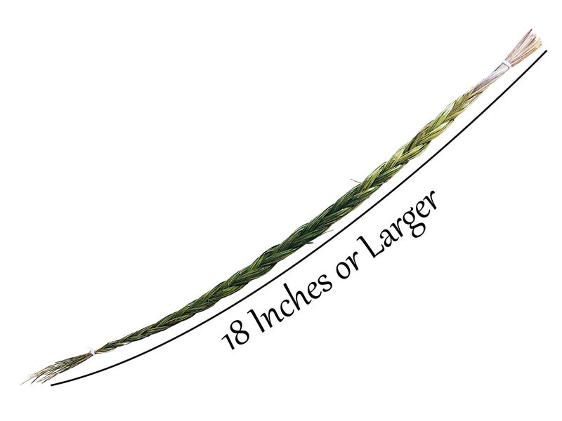 Alternative Imagination Sweetgrass Braid - Natural Incense - 18 to 23 Inches Long - Image 3